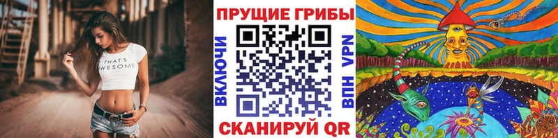 Галлюциногенные грибы Cubensis Нерюнгри