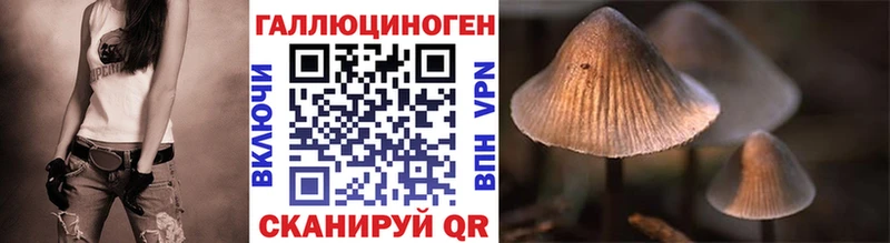 дарнет шоп  Нерюнгри  Псилоцибиновые грибы Psilocybine cubensis 