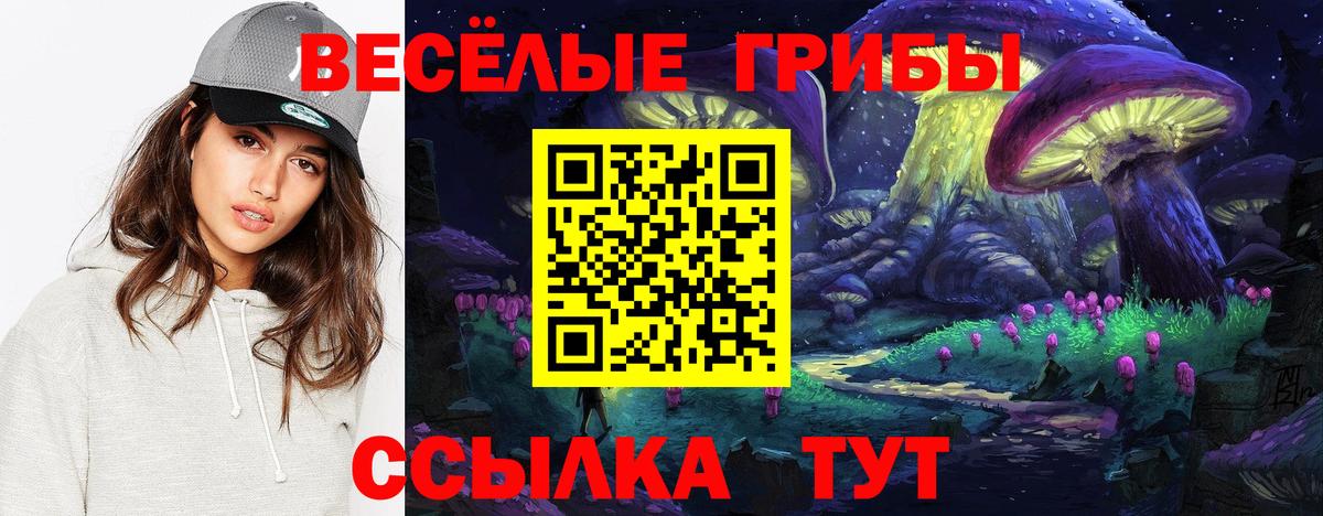 Псилоцибиновые грибы Psilocybe  Вход с VPN  Галлюциногенные грибы Psilocybine cubensis  Нерюнгри 