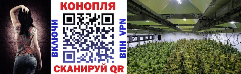 KRAKEN ССЫЛКА  купить наркотики сайты  Нерюнгри  Конопля Amnesia 